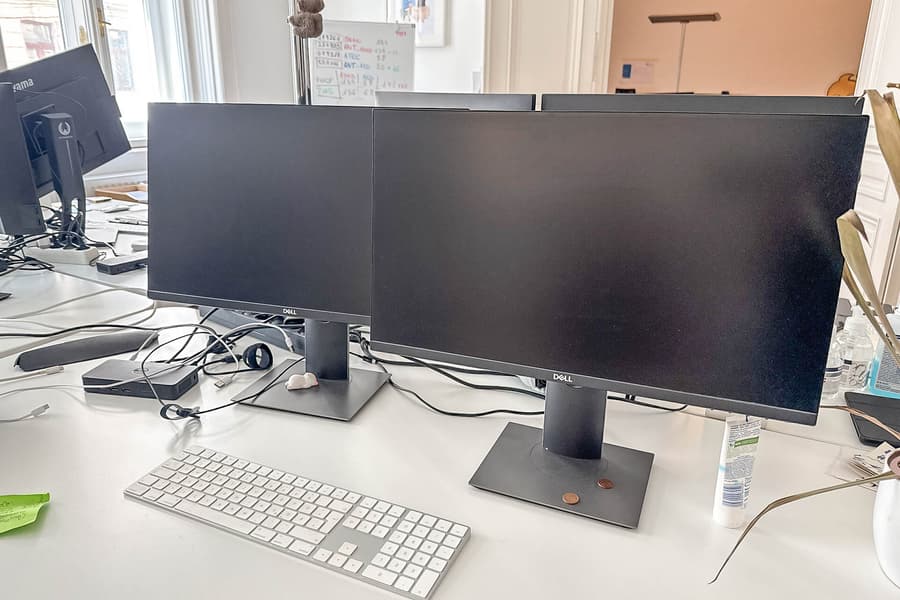 2 Monitore Dell
